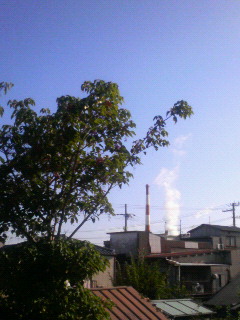 �^���C�T��