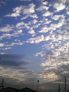 �L�O�؎�