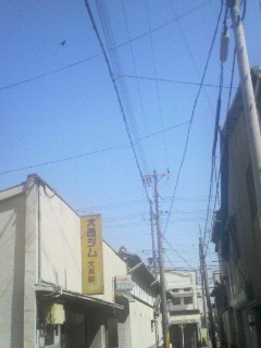 �˂΂Ȃ�ʁB