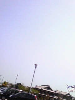 ����񂱂��
