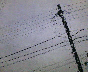 �����烉�C�u