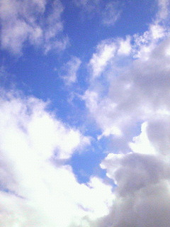 ���͂悤�������܂�