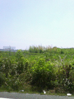 �ɂł��邩��
