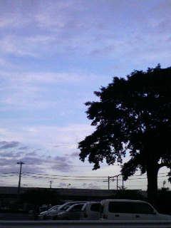 �킭�킭
