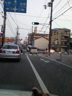 �V�g�ƃn�`�~�c�K�[����Y�Ə�����