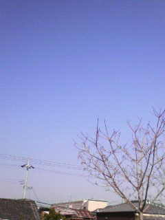 �ЂƂ�