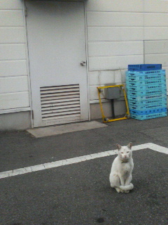 ���̉��q�l