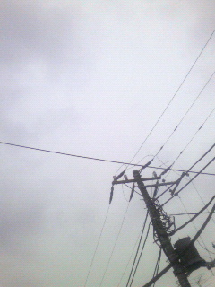 �X�C�[�g�z�[���V�b�N