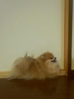 ���҂��ĂȂ���������A
