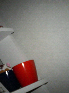 �{���̕ی상�[��