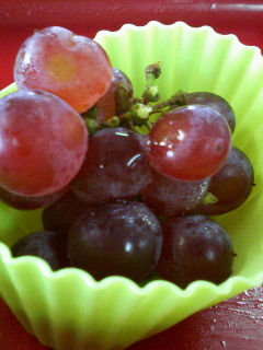�y�j�o��