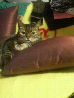 ���̂��݂Ȃ���